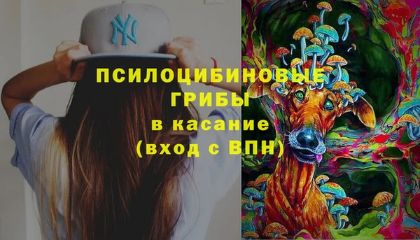 гидра Алзамай