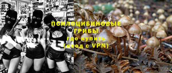 мескалин Алексин