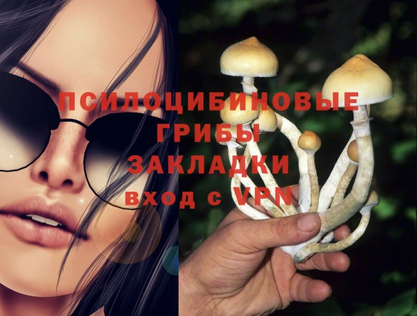 гидра Алзамай
