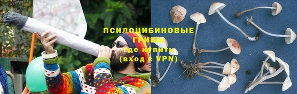 гидра Алексеевка