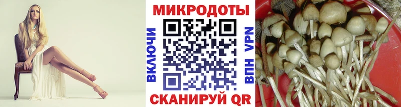 маркетплейс клад  Владимир  Псилоцибиновые грибы Psilocybine cubensis  где можно купить наркотик 