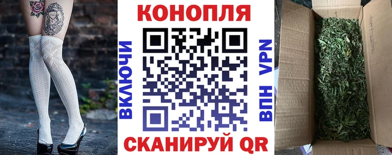 Шишки марихуана семена  Владимир 